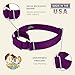 Country Brook Petz - Martingale Dog Collar - Heavy-Duty Training Collar with No Buckle - Service Dog Collar for All Pups - 20 Vibrant Colors (Purple, 1 Inch, Medium)