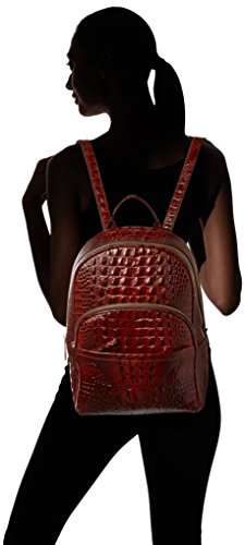 brahmin dartmouth backpack