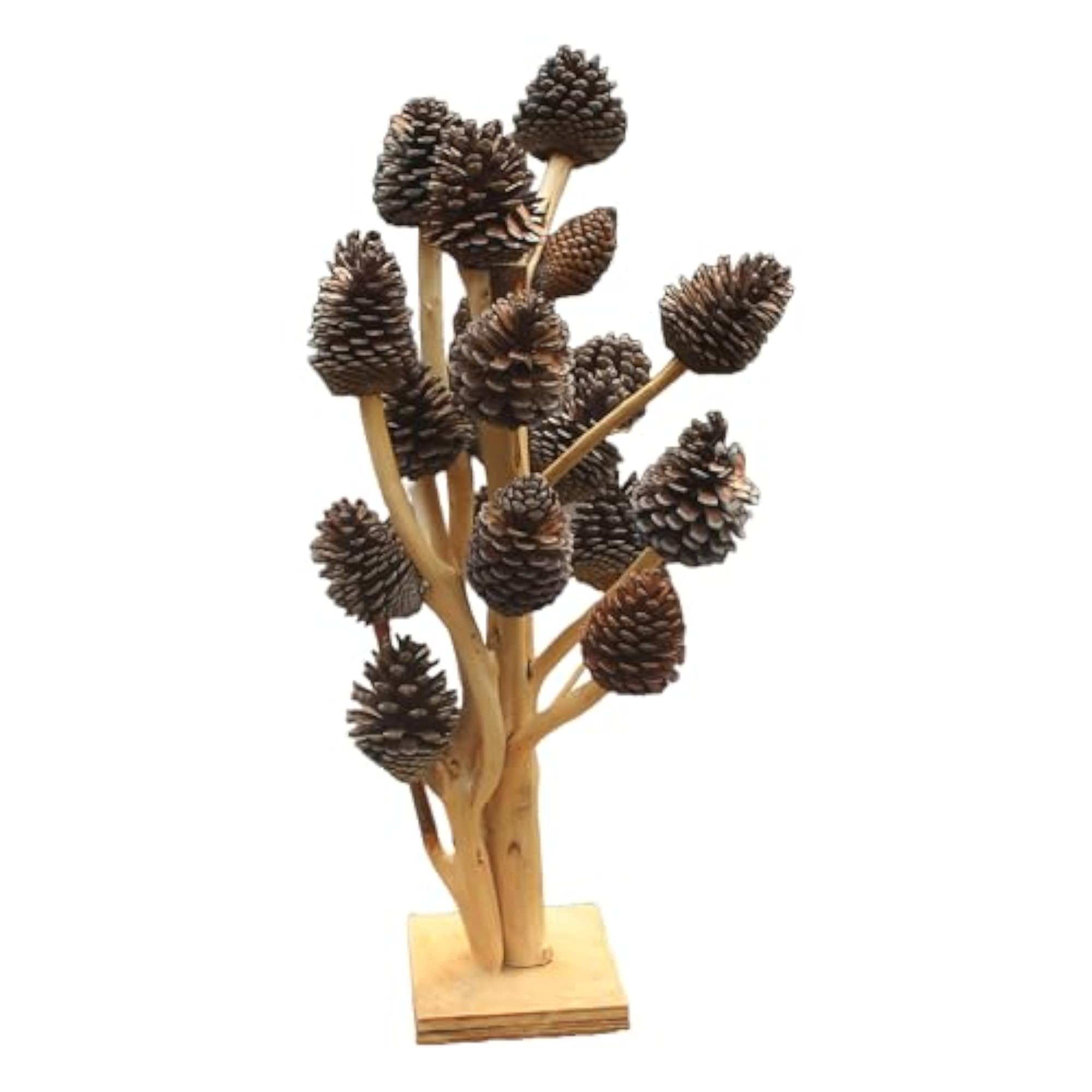 Natural Dry Pine Flower for Table Decor