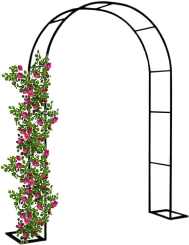 WDSOPK AEghA ^ K[f A[` ϋv [Y A[o[ NC~Ovg T|[g A[`EFC ^ EFfBOA[` W240 X H220cm oRAp gXT|[g ubN W3.5M x H2.2M (O[