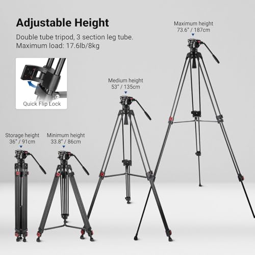 Image of NEEWER 74 Inch Pro Video Tripod with Fluid Head, QR Plate Compatible with DJI RS Gimbals Manfrotto, Durable Camera Tripod with Telescopic Handle Scaled Base for DSLR, Max. Load 17.6 lb /8 kg, TP74