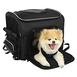Nelson-Rigg-Route-1-Rover-Pet-Carrier-Weather-Resistant-Portable-and-Secure-Motorcycle-pet-CarrierCrate-Fits-Harley-Davidson-Indian-Yamaha-Suzuki-Motorcycles - Cucciolini Doodles Nelson-Rigg-Route-1-Rover-Pet-Carrier-Weather-Resistant-Portable-and-Secure-Motorcycle-pet-CarrierCrate-Fits-Harley-Davidson-Indian-Yamaha-Suzuki-Motorcycles