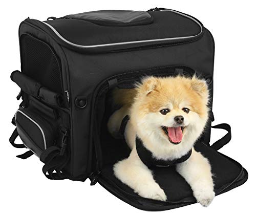Nelson-Rigg-Route-1-Rover-Pet-Carrier-Weather-Resistant-Portable-and-Secure-Motorcycle-pet-CarrierCrate-Fits-Harley-Davidson-Indian-Yamaha-Suzuki-Motorcycles - Cucciolini Doodles Nelson-Rigg-Route-1-Rover-Pet-Carrier-Weather-Resistant-Portable-and-Secure-Motorcycle-pet-CarrierCrate-Fits-Harley-Davidson-Indian-Yamaha-Suzuki-Motorcycles