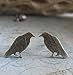 The Raven Crow Bird Stud Earrings Antiqued Sterling Silver Handmade in USA