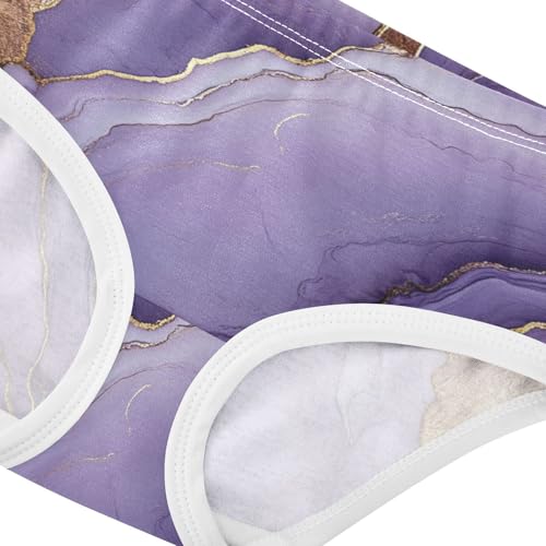 Hipster Panties Hipster Triangle Panties Breathable Underwear for Toddler Girls in Sizes 2T,3T, 4T, 5T, 6Y and 8Y4