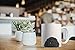 MUGBREW Black Toy Poodle Ceramic Coffee Mug Tea Cup, 11 OZ