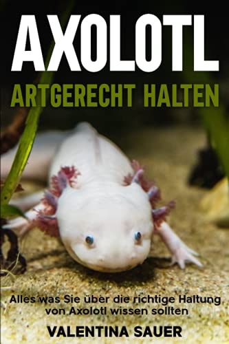 Axolotl Haltung im Aquarium Alle Infos und Details