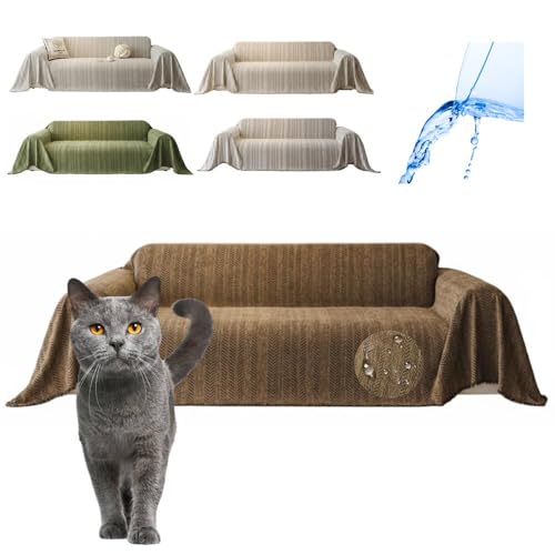 Lifetips Vg[ Chartreux \t@[Jo[ k  􂦂 h }`Jo[ 2l| 3l| It IȂ ~ Eh~ LΉ lGʗp iuEj i300180CMj