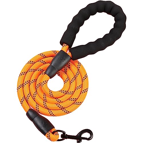 BRAVE WAKA vȌp[h 2pqA₷X|WƖڗގ̗pA^Ƒ^ɍœK (2m×1cm, IW)