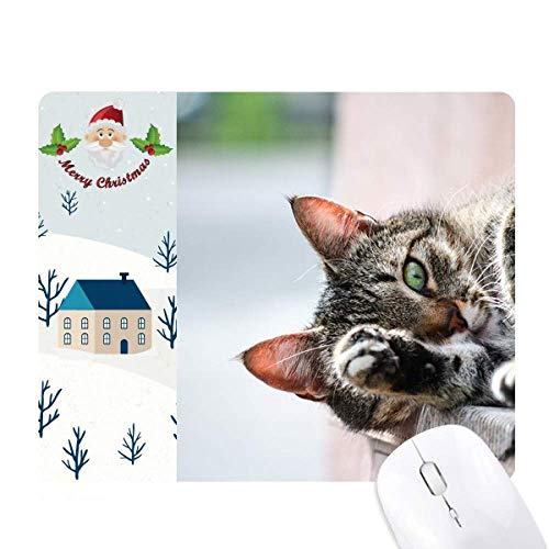 ̊̔Lʐ^ T^N[XƉS̃}EXpbh