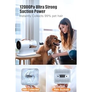 Pet grooming vacuum  dog hair vacuum 12000pa powerful dog vacuum for shedding grooming hair 2l large dust cup low noise 3 suction levels 5 grooming tools   cucciolini doodles