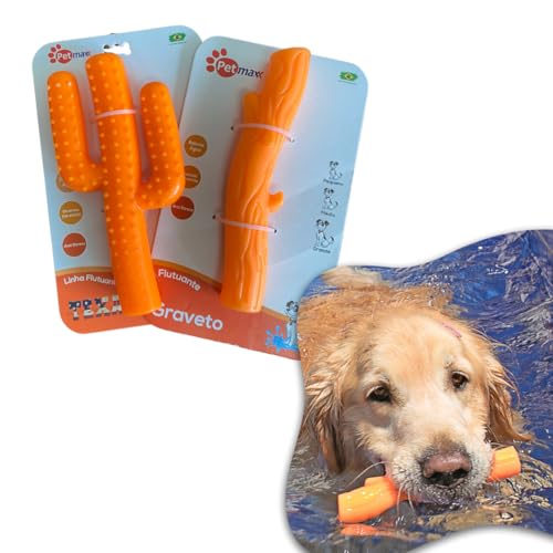 Cacto Texas e Graveto Flutuante Ultra Resistente de G Brinquedo P...