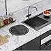 DJFKDYHPE Black Trash Bin Lid Balance Flap Cover Built-in Countertop - Stainless Steel Trash Grommet for Kitchen Garbage Can Recessed Trash Can Lid