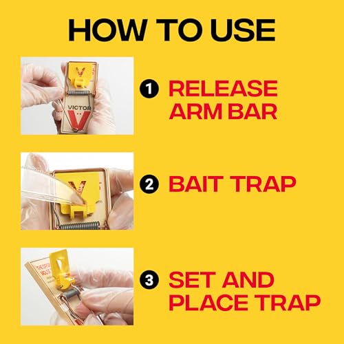 Victor M035-12 Plastic Pedal Easy Set Sustainably Sourced FSC Wood Snap Mouse Trap - 12 Traps