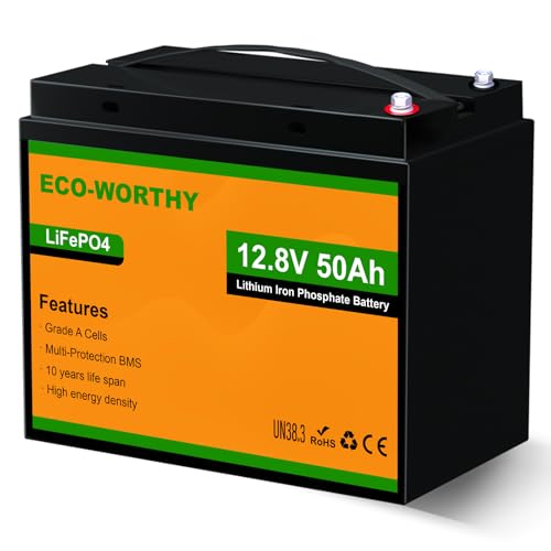 ECO-WORTHY LiFePO4 12V 50Ah Battery