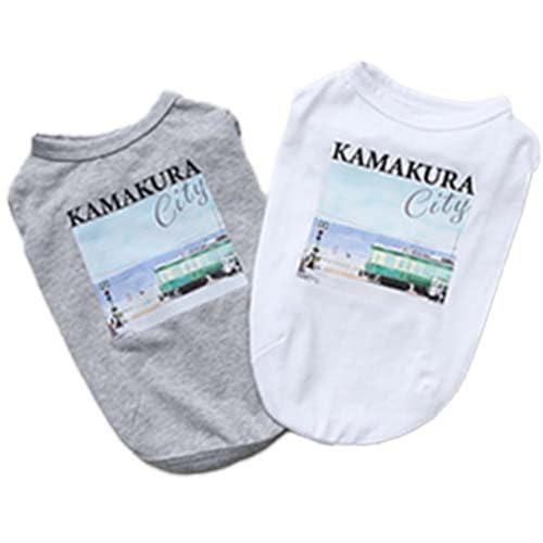 ykamakura dogzqcity^Ngbv  ̕ ybg hbOEFA (M, O[)