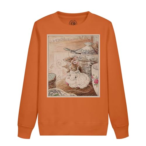 Sweatshirt enfant famille souris un cadeau d'anniversaire Beatrice Potter