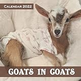 Goats In Coats 2022 Calendar: 12 Months Mini Calendar 2022 With Holidays (USA) & Cute Goats In Coats...