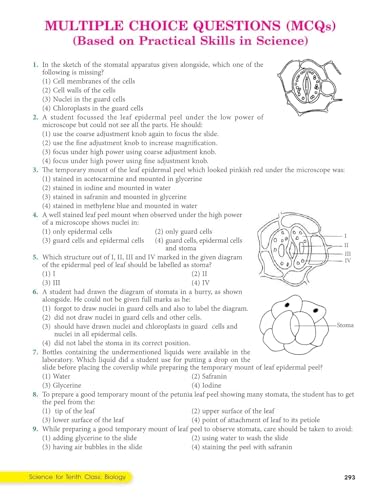 Image of Lakhmir Singh Science Class 10 Biology Part 3 (2026-27 For CBSE Board Exams) | As Per NCERT & CBSE Syllabus | Complete Biology Study for School Exams | NCERT Questions & Anwers, CBQs, Solved Board Papers & Exercises - Science Grade 10