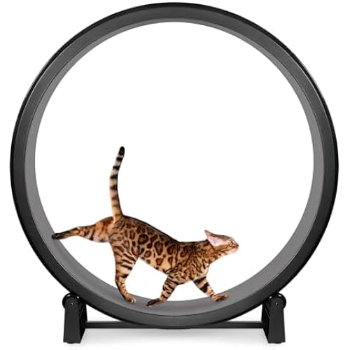 One Fast Cat - Cat Exercise Wheel - Made in the USA - 48" Diameter - Gen. 7