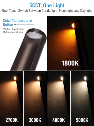 Image of LEONLITE 6-Pack 5CCT Low Voltage Landscape Path Lights, 12-24V AC /DC