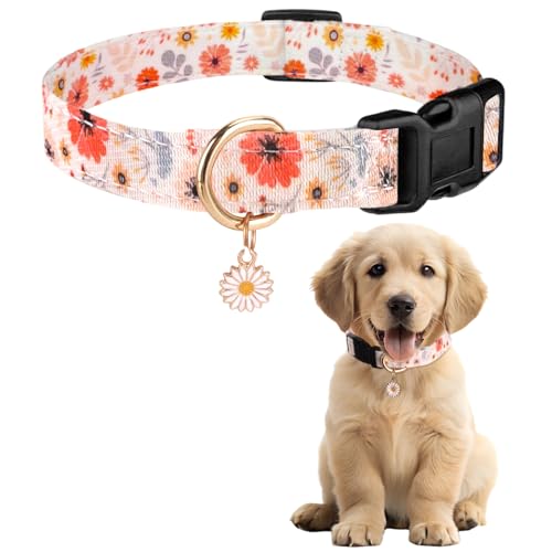 Sommer Hundehalsband Bunt, Blume & Dinosaurier-Designhundeleine mit Schnellverschluss Kunststoffschnalle, Komfortable Baumwolle Halsband für Jungen und Mädchen Hunde (Blumen, S(Hals:24-40cm))