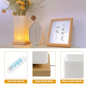 Vase Lamp Table Lamp Dimmable 3 Colors Vase Table Lamp USB Charge Bedside Lamp Frosted Glass Shade with Wood Base