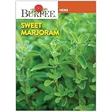 Burpee Sweet Marjoram Seeds - Delicately Aromatic Culinary Herb