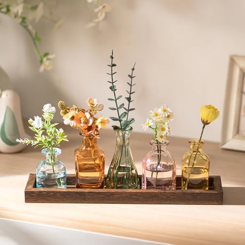 Glasseam Glas Kleine Vasen für Tischdeko: 5 Mini Vasen Set mit Holztablett für Home Wohnzimmer...