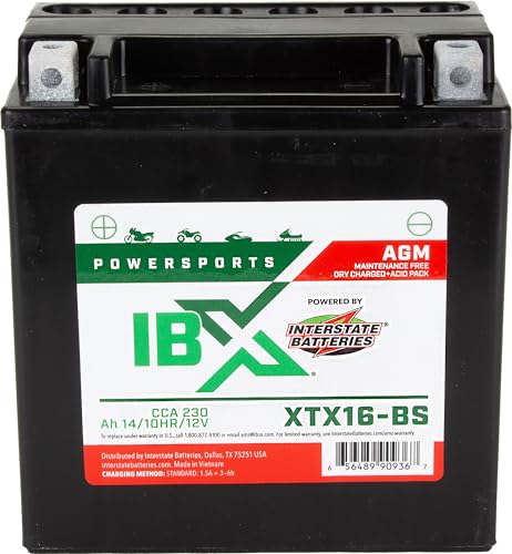 Interstate Batteries YTX16-BS 12V 14Ah Powersports Battery 230CCA AGM Rechargeable Replacement for ATVs Motorcycles Scooters (XTX16-BS)