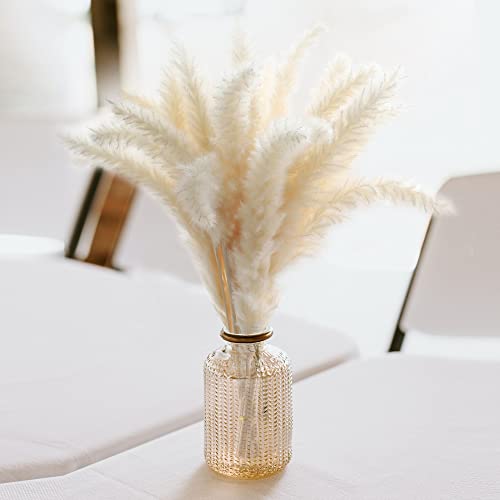 Embedo 30Pcs Flores Secas Naturales Tallo de Hierba de Pampas Secas Decoracion Grass Planta Seca Phragmites para Jarrones Boda Fiesta Balcon Exterior e Interior Hogar Mesa Navidad (Blanco) Cover