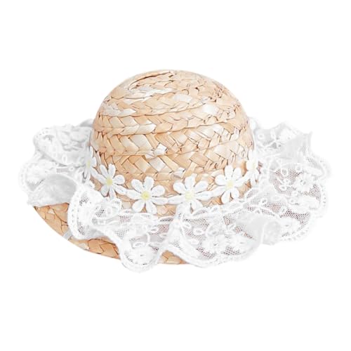 TOBBOMEY ~j悯ybgXq QNtX Lp yʂőȒP op[eB[p 炵wbhhX