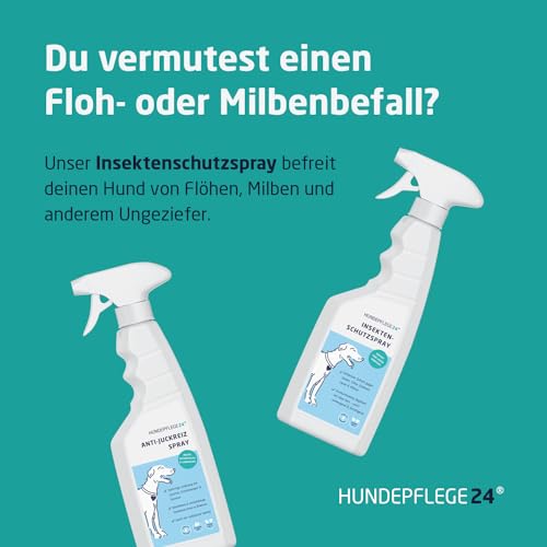 Hundepflege24 Anti Juckreiz Spray für Hunde 500ml - Akute Soforthilfe & wirksame Beruhigung bei Entzündung, Milben, Grasmilben, Pilzen, Flöhen - Haustierpflege Mittel gegen Juckreiz Hund