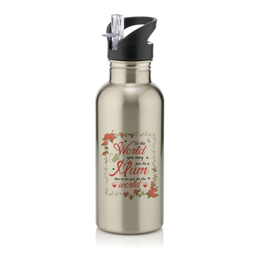 Getagift Silver Mothers Day, To The World You May Just Be A Mum But To Me You Are The World Birthday, Christmas Stainless Steel 600Ml Water Bottle With Straw. (Silver)