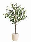 edihome, Planta Artificial Grande, Olivo 120 cm – Decorativas, Árbol, Decoración Hogar, para Interior, Oficina, Hoteles, Eventos, Planta Artificial Realista con Detalles Mediterráneos (Olivo, 120)