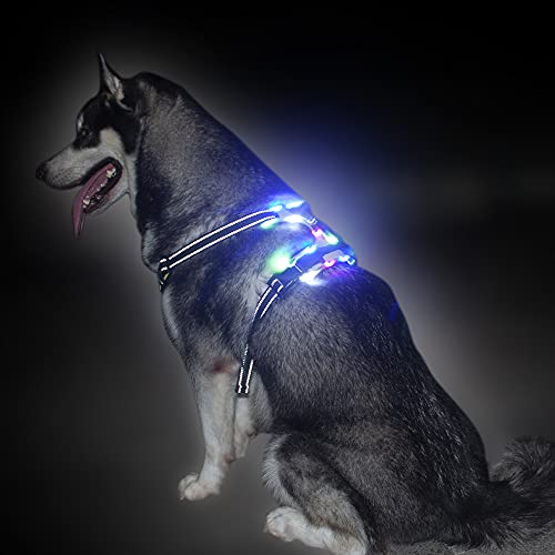 light up harness