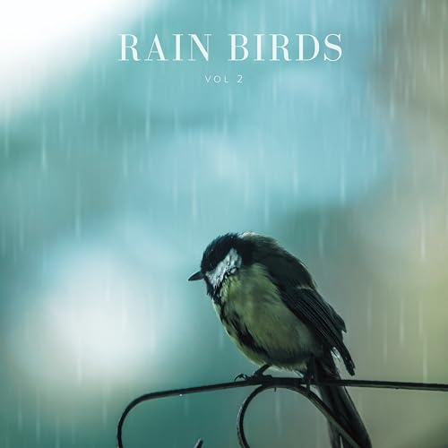 Rain Birds