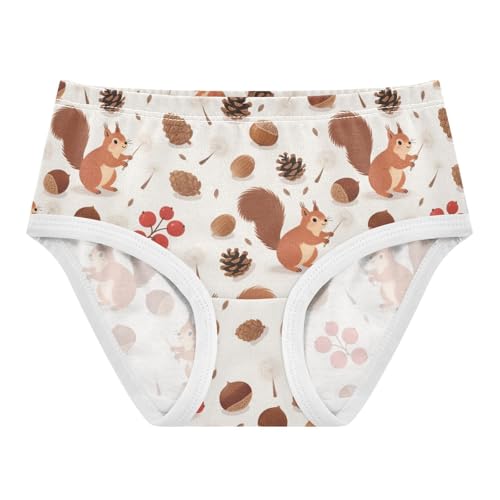 Squirrel Chestnut Pinecone Toddler Girls's Underwear 2T 2300659