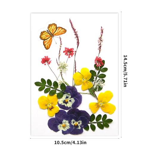 Flores secas prensadas para resina y manualidades miniatura 4