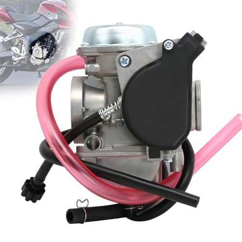 Carb pour Arctic Cat 300 carburateur de rechange ATV 250