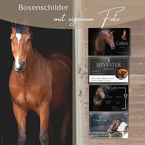 Pferdeschilder Boxenschilder mit eigenem Foto und Wunschtext | AluDibond Alu Verbundplatte | 30x20 cm | sofort personalisierbar | inkl. Brandzeichen & Motiven