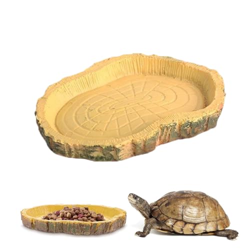 ZYEKIU Cuenco de Agua para Comida de Reptil, Terrario Tortugas Simulación, Terrario Tortugas de Tierra Naturaleza, Terrario Reptiles Interesante, para Tortugas, Lagartos, Ranas, Geckos