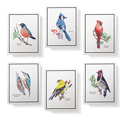 Twigs Paper - American Birds Note Cards - Set Of 12 Blank Assorted Greeting Cards With Envelopes (5.5 X 4.25 Inch) - 100% Eco Friendly Stationery - Made In Usa #TOP2