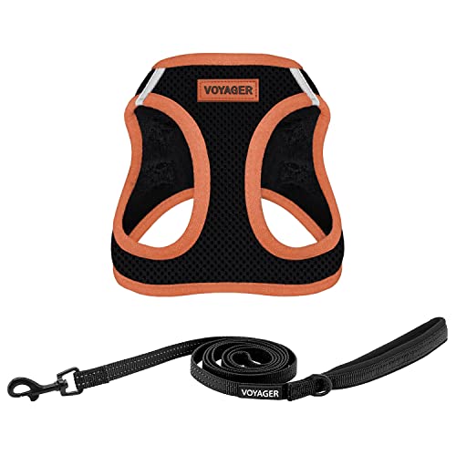 Image of Voyager Step-in Air All Weather Mesh Harness and Reflective 5 ft Dog Leash with Neoprene Handle for Small, Medium and Large Breed Puppies by Best Pet Supplies - Orange Trim, L