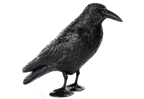 Rabe Krähe Taubenschreck Vogelschreck Taube Vogel Schreck Pflanzenschutz 36cm - 3 Stück