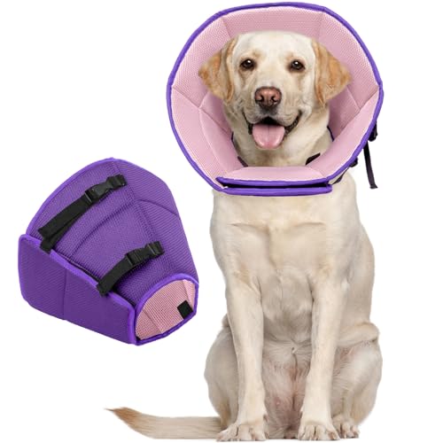 Collier de protection Kuoser violet réglable pour chien - 2
