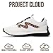 Project Cloud Trendy Fashion Sneakers for Women 2026 - Memory Foam and Non-Slip Comfortable Casual Ladies Shoes for Womens Fashion Sneakers - Lightweight Lace-up Shoes (Lecco,LEOP,6) Leopard
