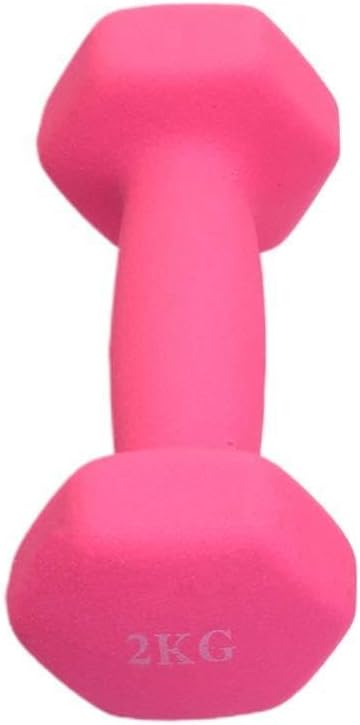 Lady Barbells Exercise Dumbbells for Women Yoga Fitness 2kg Set Non-rolling Shape Random Color