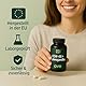 Ashwagandha KSM66 Wurzelextrakt mit Magnesium, Zink und Vitamin B6 – 120 Vegane Kapseln, Hochdosiert, Bioqualität, Stressbewältigung, 60 Tage Vorrat