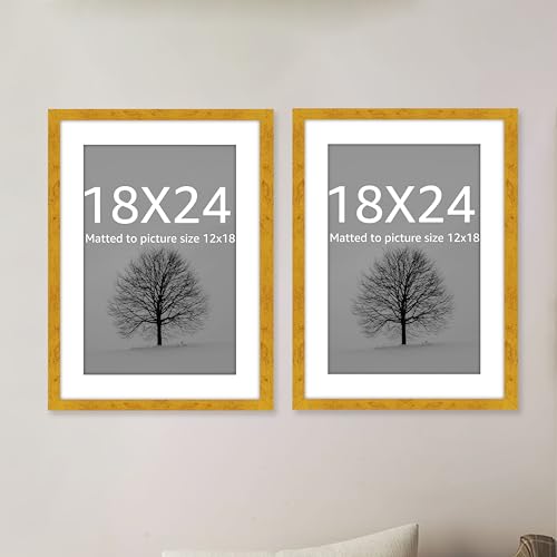 Image of Art Street Synthetic Document Large Size Wall Photo Frame, Set of 2 Big Frames For Wall Artwork, Certificates, Picture & Photographs Home Decor (18x24 Inch, Matted To: 12x18 Inch, Gold)